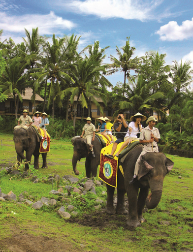 Mara River and Safari Lodge, Gianyar