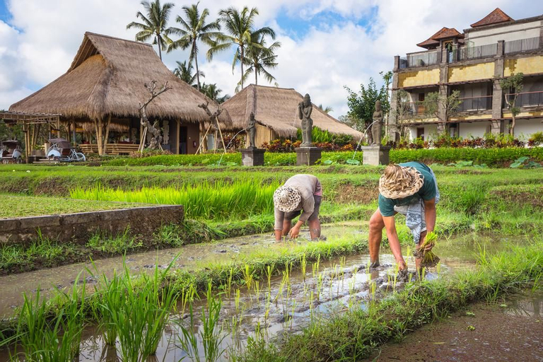 Visesa Ubud Resort, Gianyar