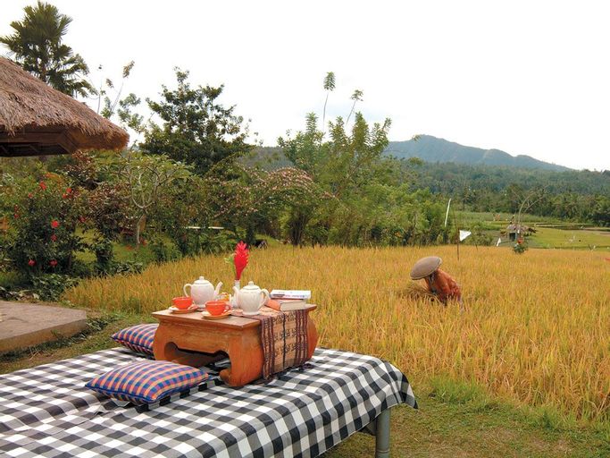 Puri Bagus Manggis, Karangasem