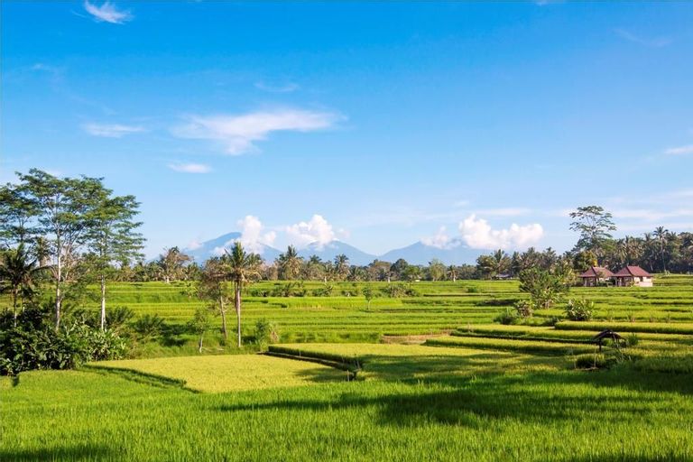 The Lokha Ubud Resort Villas and Spa, Gianyar