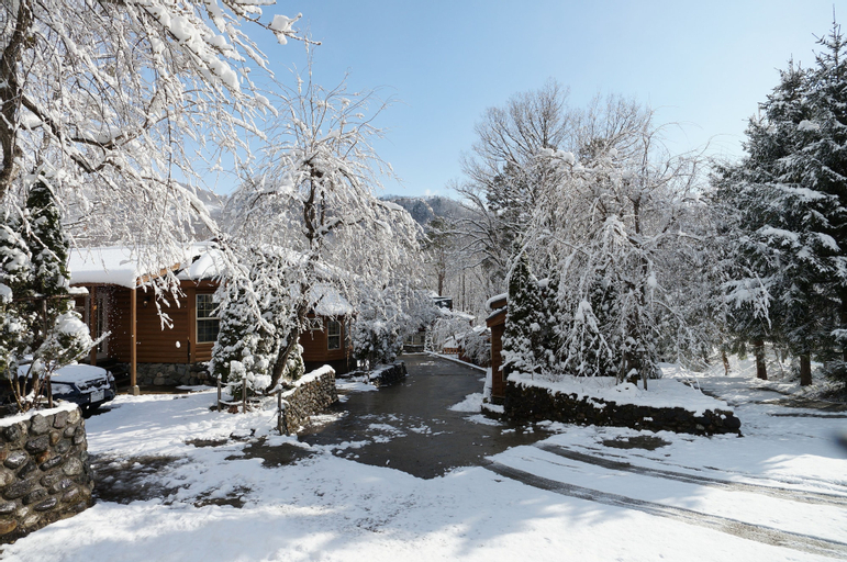 Hakuba Canadian Lodge, Hakuba