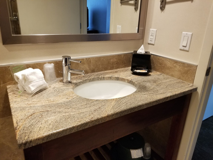 Bathroom 4, Holiday Inn L.I. City Manhattan View ( Closed), New York