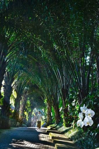 Ayung Resort Ubud, Gianyar