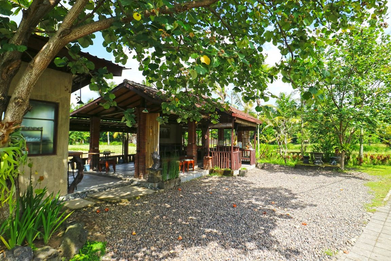 Others, Uma Capung Mas Cottage, Gianyar