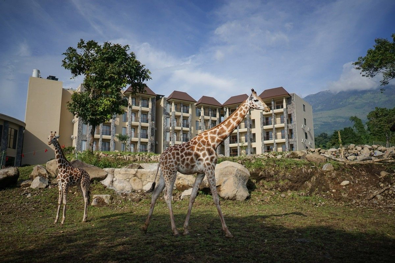 Exterior & Views 3, BAOBAB SAFARI RESORT, Pasuruan