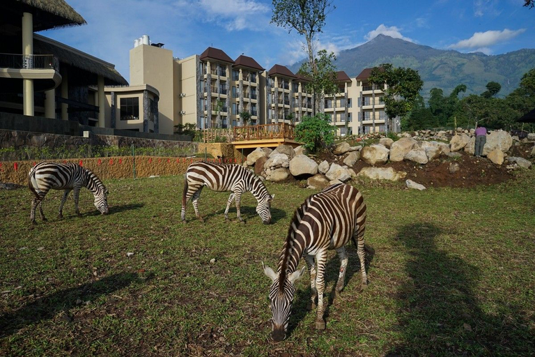 BAOBAB SAFARI RESORT - Others