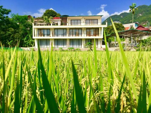 Mai Chau Green Rice Field Hotel, Mai Châu