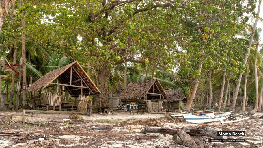 OYO 426 Coco Grove Tourist Inn, Dauis