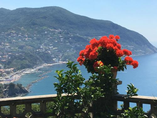 Sussurri di Mare, Genova