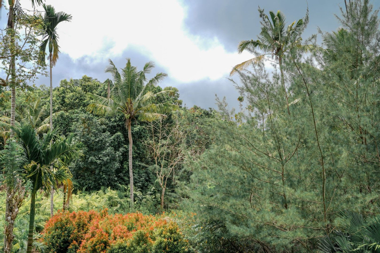 Exterior & Views 5, The Mesare Resort, Klungkung