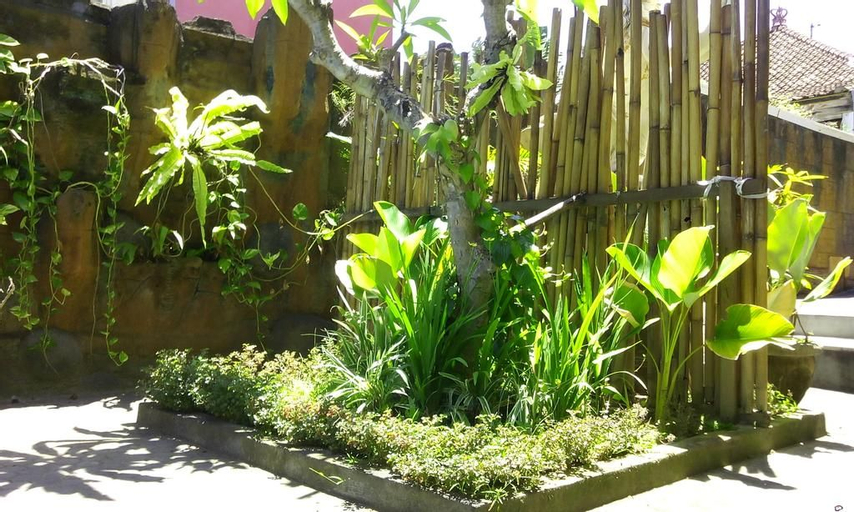 Taxa Kuta Raya, Badung
