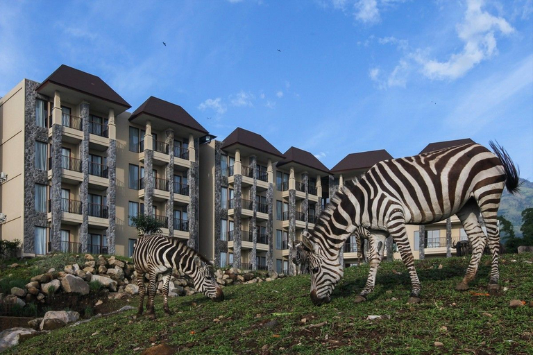 BAOBAB SAFARI RESORT - Others