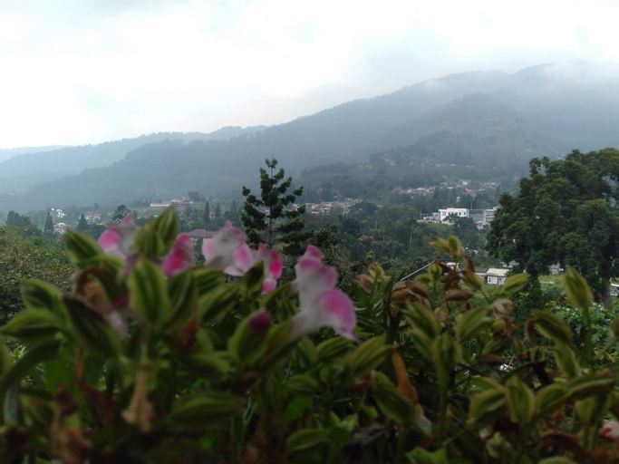 Scenery 7
