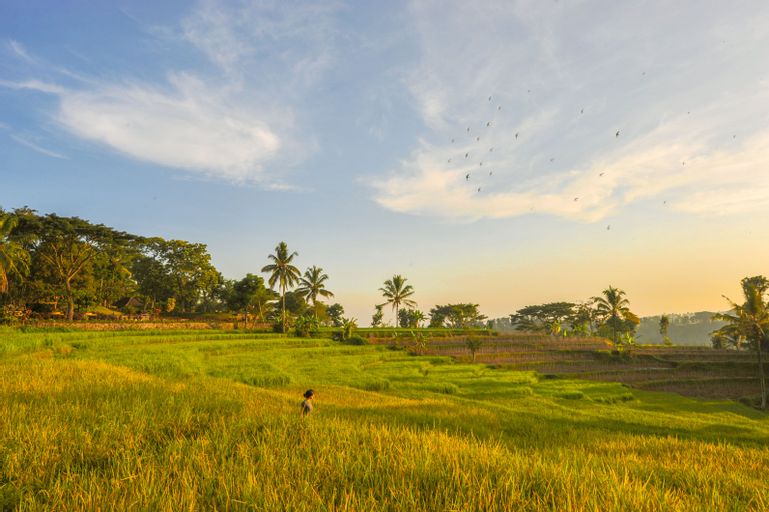 Scenery 3
