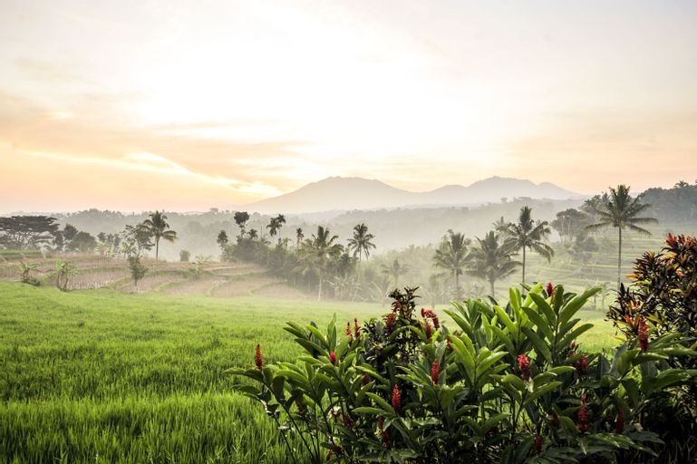 Scenery 1