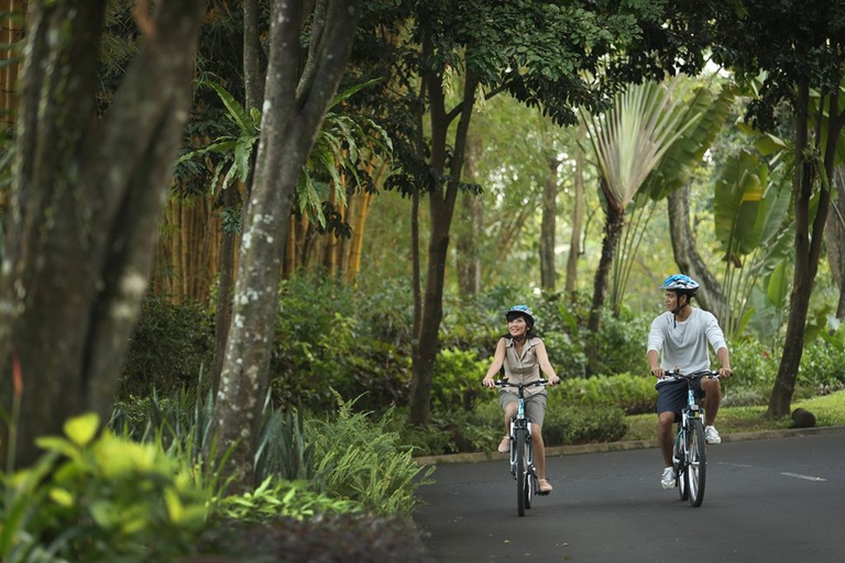 Hyatt Regency Yogyakarta - Others
