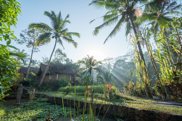 Song Broek Jungle Resort, Gianyar