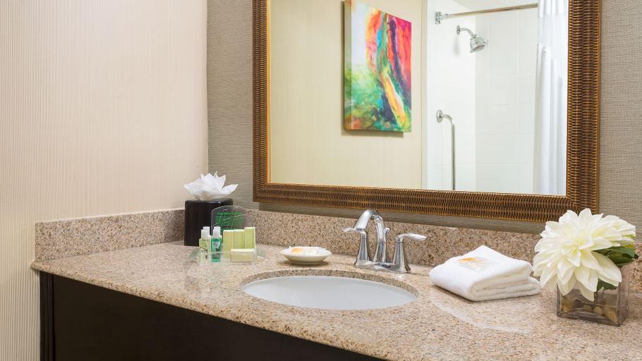 Bathroom 4, HOLIDAY INN SECAUCUS MEADOWLANDS, Secaucus