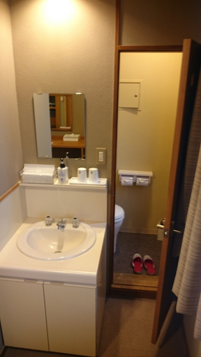 Bathroom 5, Awara Onsen Seifuso, Awara