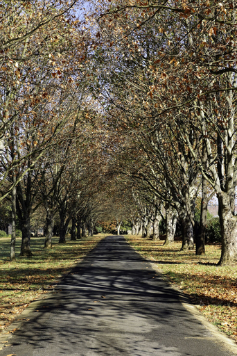 Moorcroft Manor Boutique Country Hotel, Sisonke