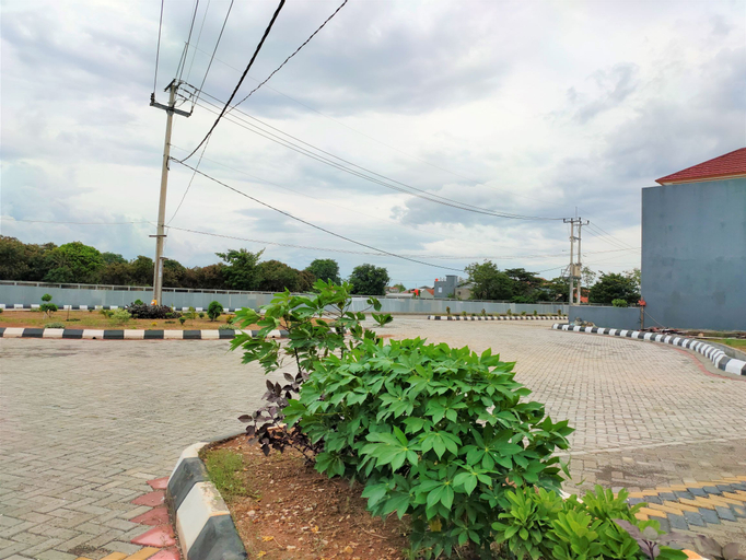 Scenery 31