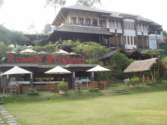 Rumah Stroberi Organic Farm and Lodge, Bandung