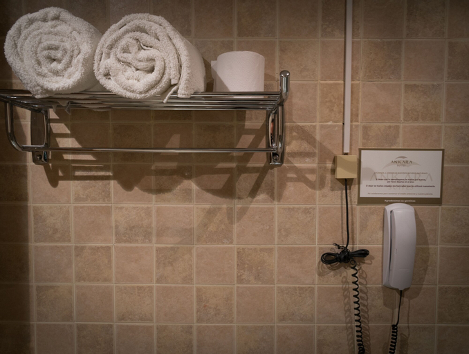 Ankara Suites, Capital
