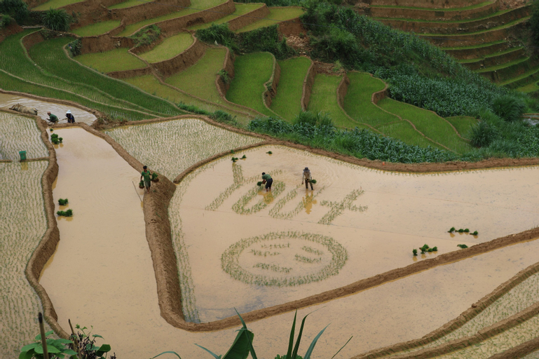Do Gu Homestay, Mù Căng Trai
