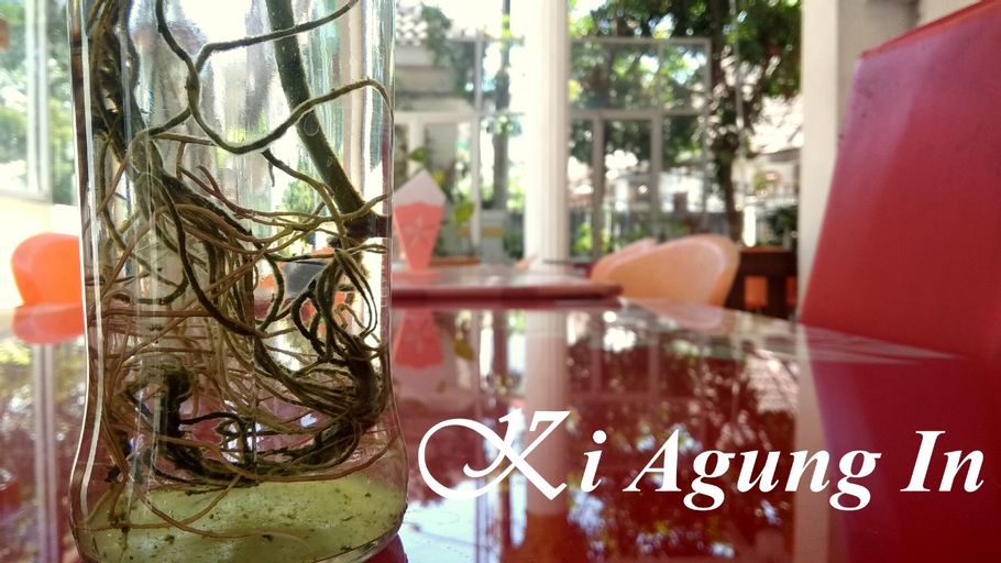 KI AGUNG IN, Bantul