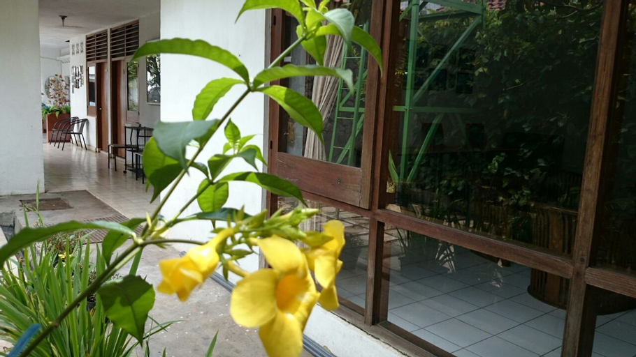 Others 8