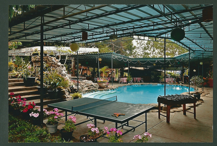 The Pinewood Lodge & Organic Farm, Bogor