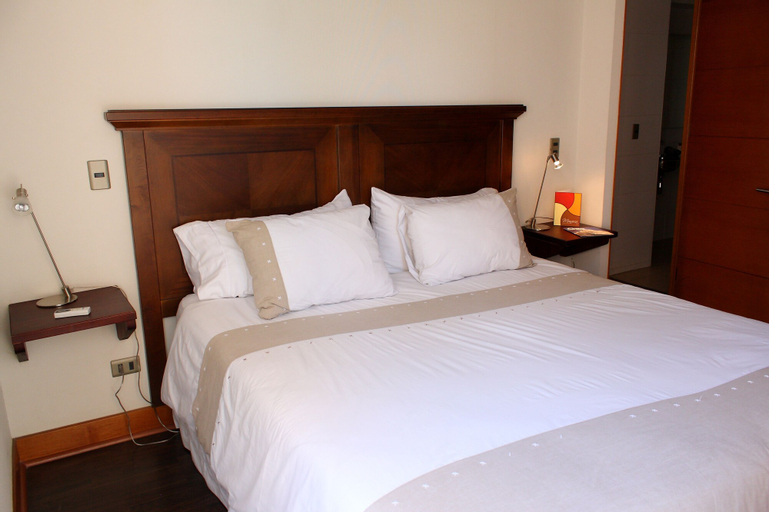 ExMonarca by Design, Santiago