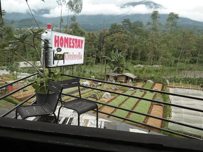 Umbrella Homestay, Wonosobo
