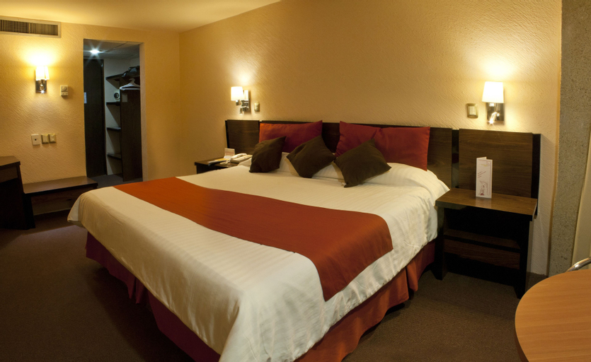 Hotel Real Plaza, San Luis Potosí