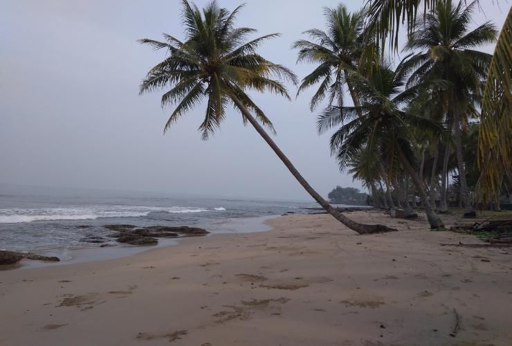 Anyer Cottage Hotel Beach Resort - Others