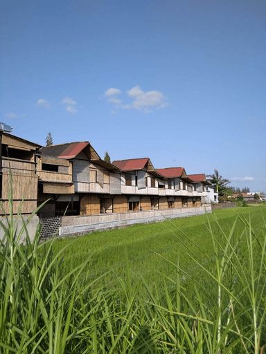 Paddy D Sawah Guest house, Bantul