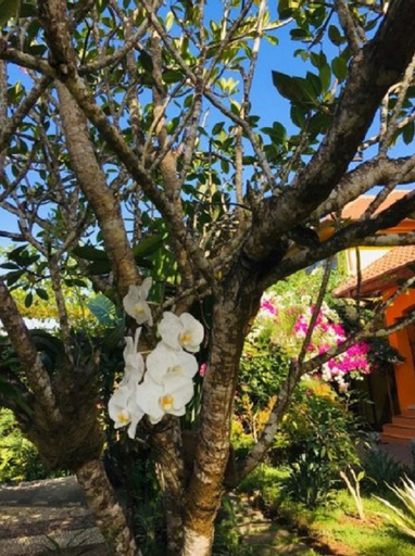 Villa Marasai, Ternate