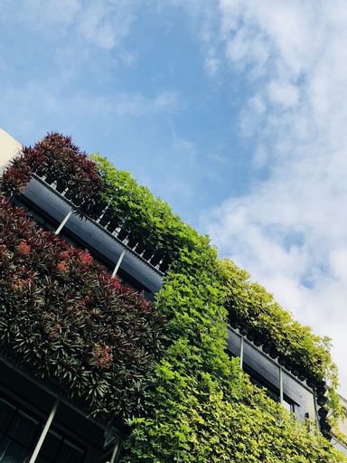 Cloude Stay, Kuala Lumpur