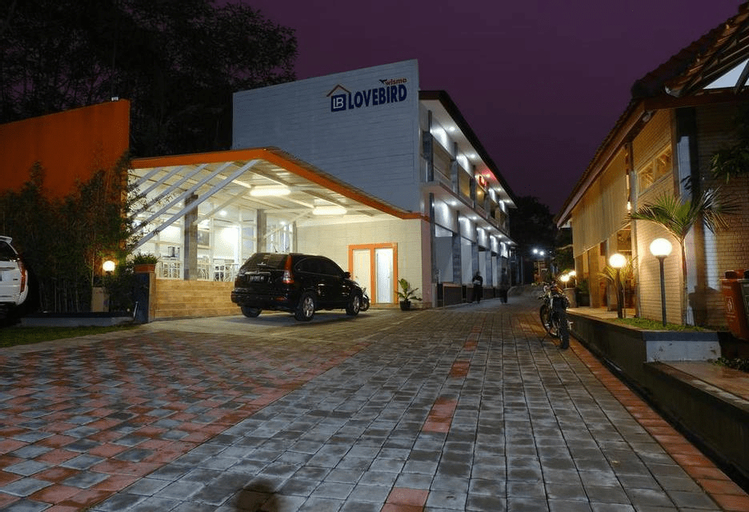 Wisma Lovebird, Wonosobo