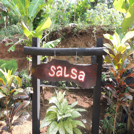 Penginapan Salsa, Kulon Progo