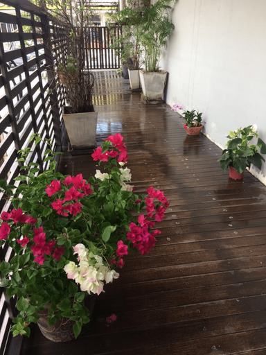 Others 5, My Living Place Samui, Ko Samui