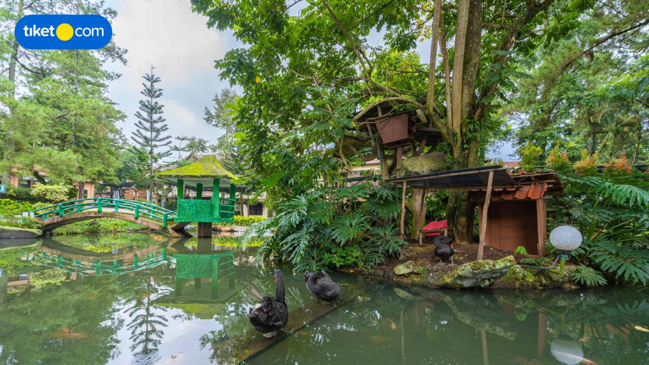 Royal Safari Garden Resorts and Convention - Others