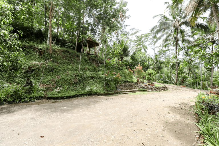 Segajih Central Stay and Education, Kulon Progo