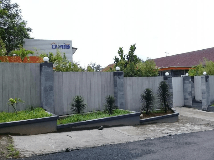 Wisma Lovebird, Wonosobo
