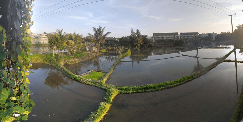 Oples Homestay, Gianyar