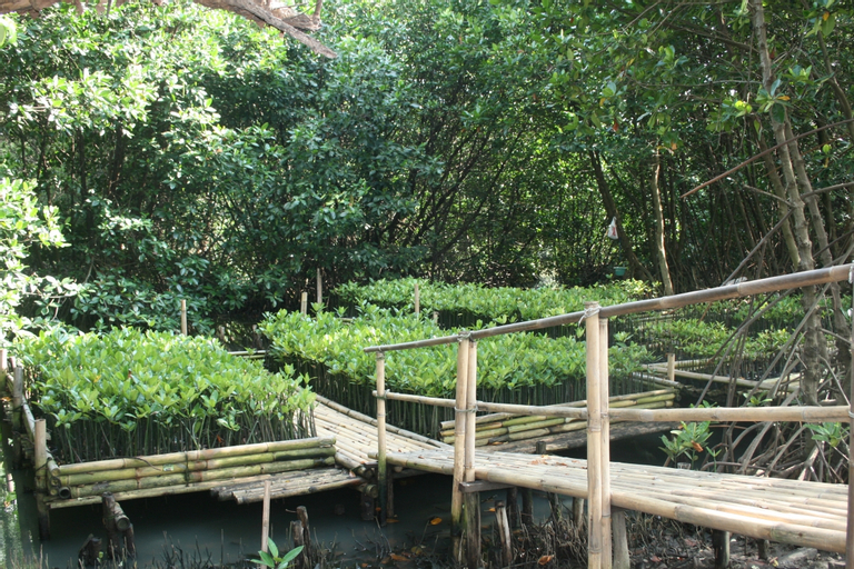 Taman Wisata Mangrove, North Jakarta