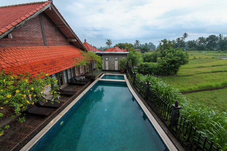 Uma Shanty by Madhava, Karangasem