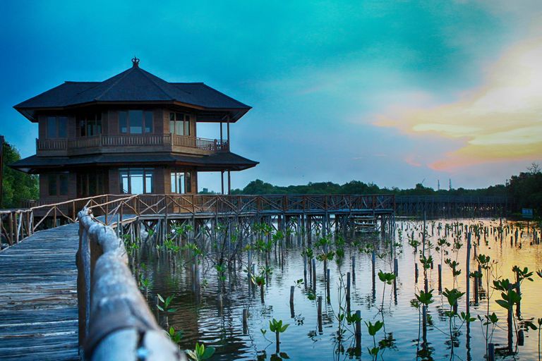 Taman Wisata Mangrove, North Jakarta