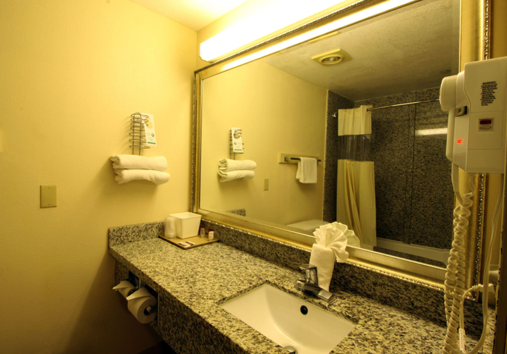 Bathroom 5, Sunburst Spa & Suites Motel, Los Angeles