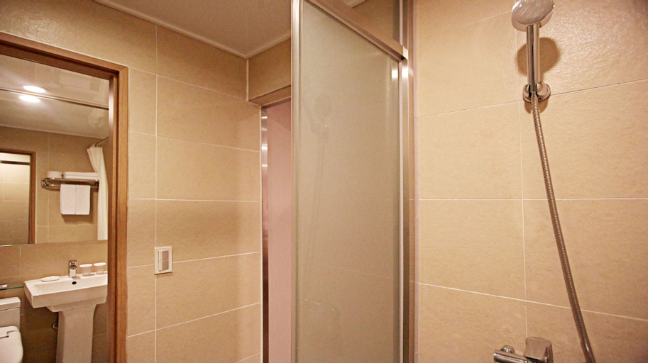 HOTEL SKYPARK Myeongdong III, Jongro